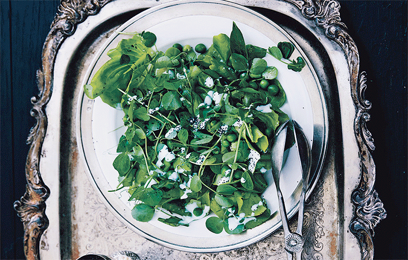 Table for Two | Recipe : Fava Beans, Two Ways