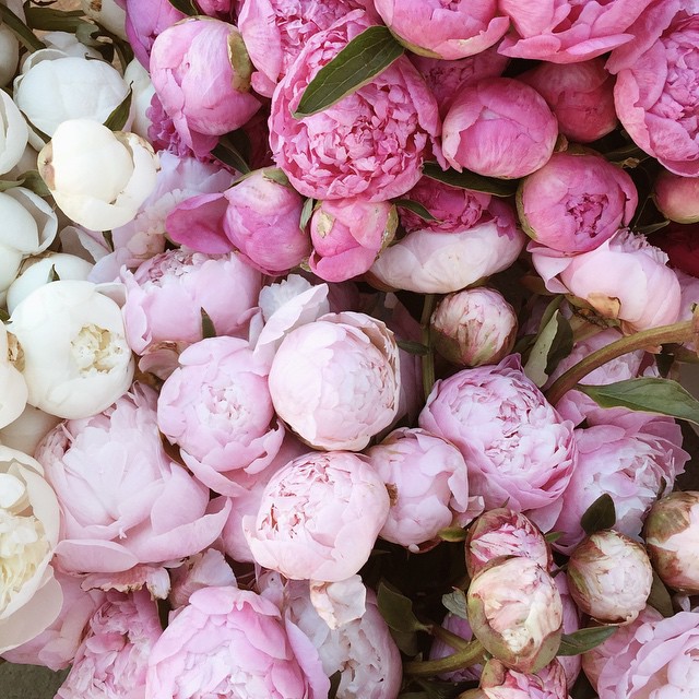 02-@designconundrum-30 Images 18.06.15