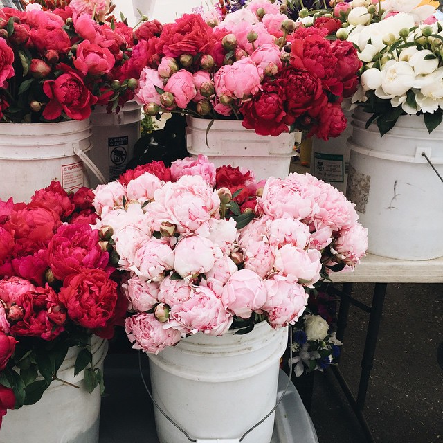 05-@cannellevanille-30 Images 18.06.15