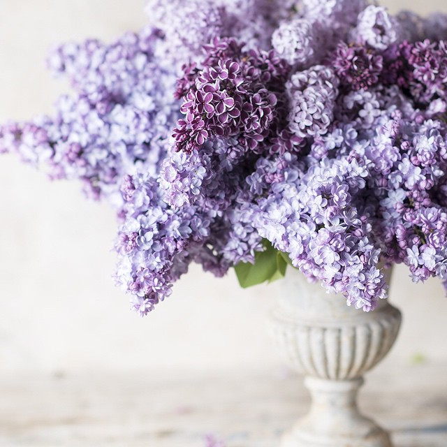 05--@georgiannalane17--30 Images 25.06.15