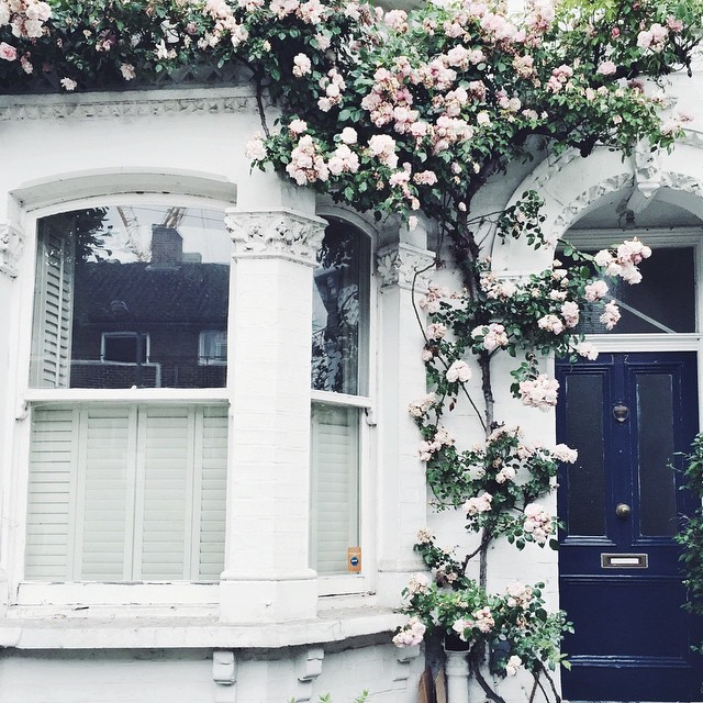 15-@notyourstandard-30 Images 18.06.15