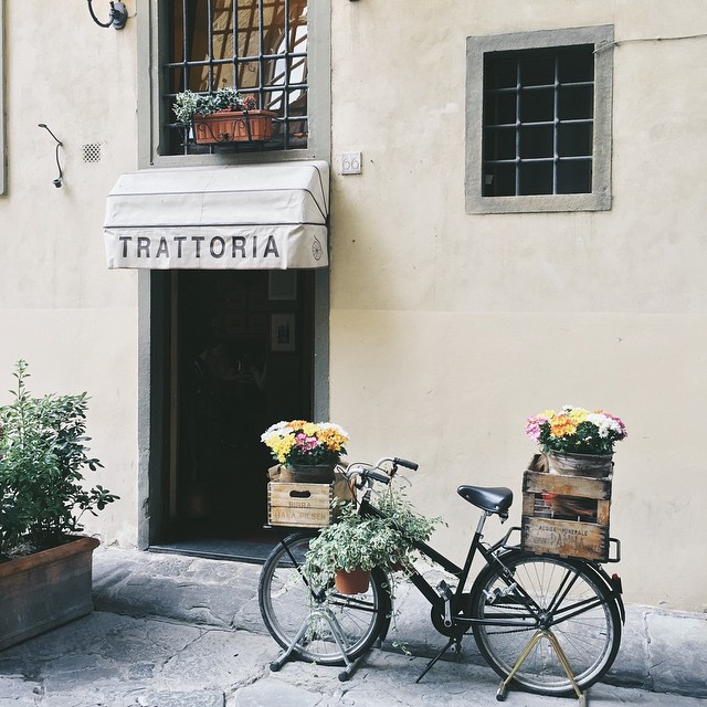 17--@nilerturk1--30 Images 25.06.15