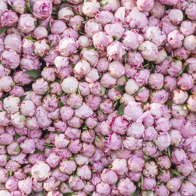 20--@georgiannalane15--30 Images 25.06.15