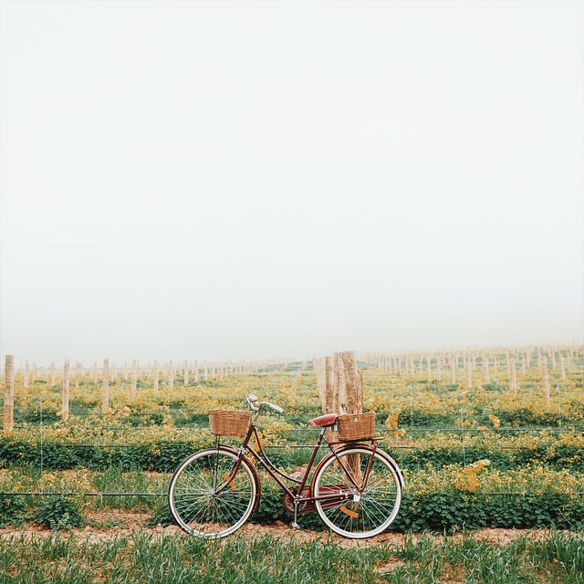 20-@helloemilie-30 Images 18.06.15