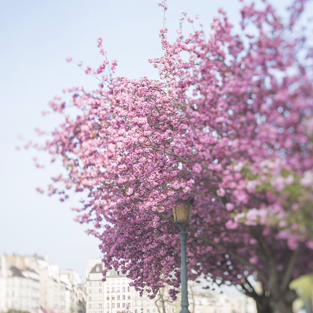 24--@georgiannalane21--30 Images 25.06.15