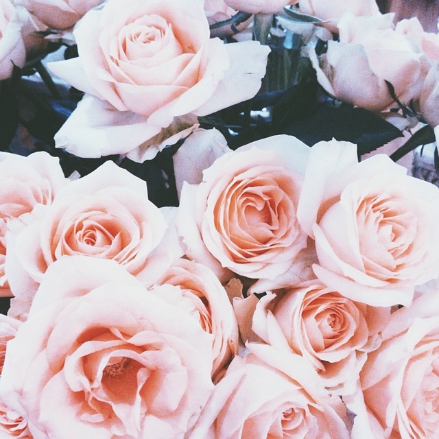 26-@anrilzl1-30 Images 18.06.15