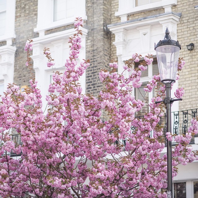 26--@georgiannalane19--30 Images 25.06.15