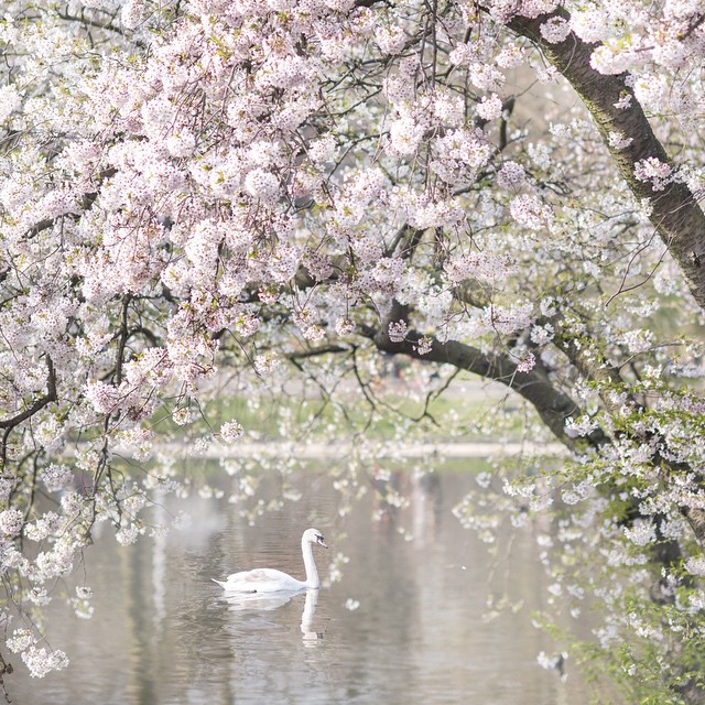 30--@georgiannalane18--30 Images 25.06.15