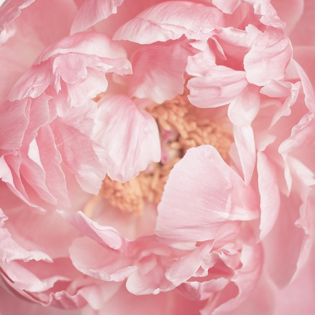 31--@georgiannalane14--30 Images 25.06.15