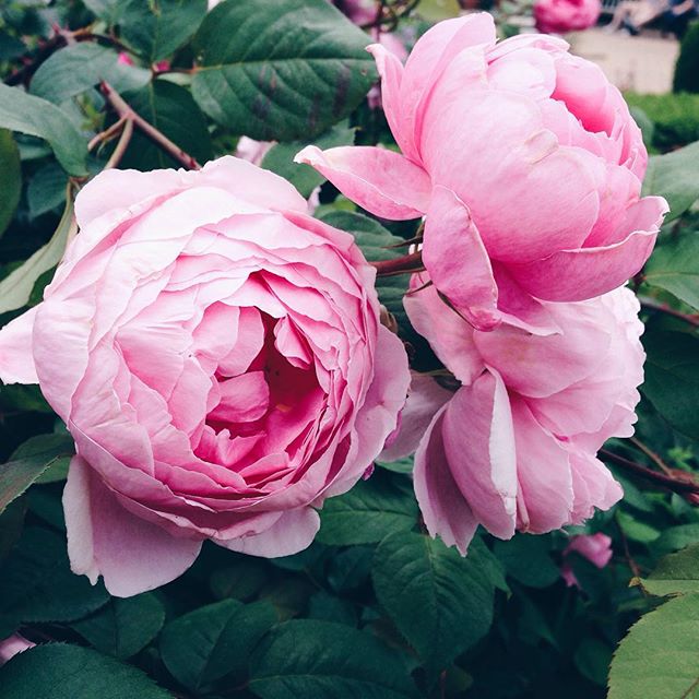 02-30 Images | 23.07.15-@krisol