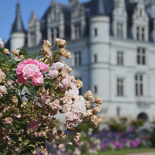 03-Places | Châtau de Chenonceau-_braveneworld 2