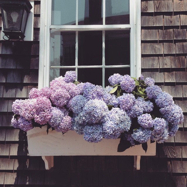 06-30 Images | 29.05.15-@nantucketwindowbox