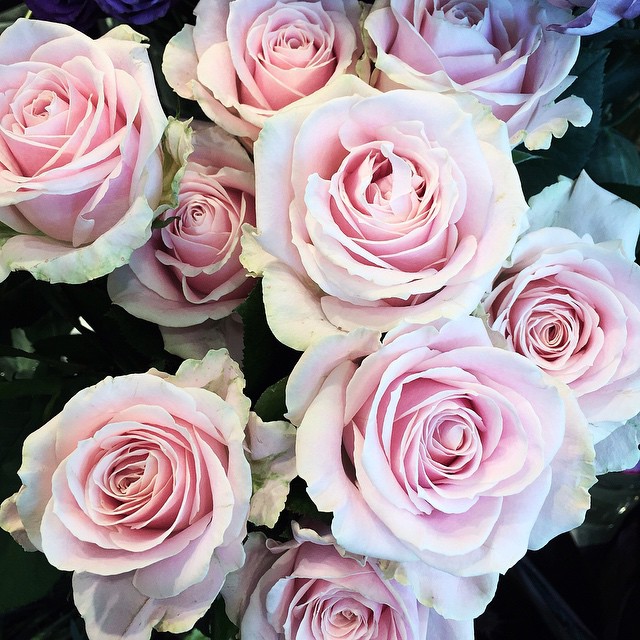 16-Maximalism No. 05-@annakirishima1