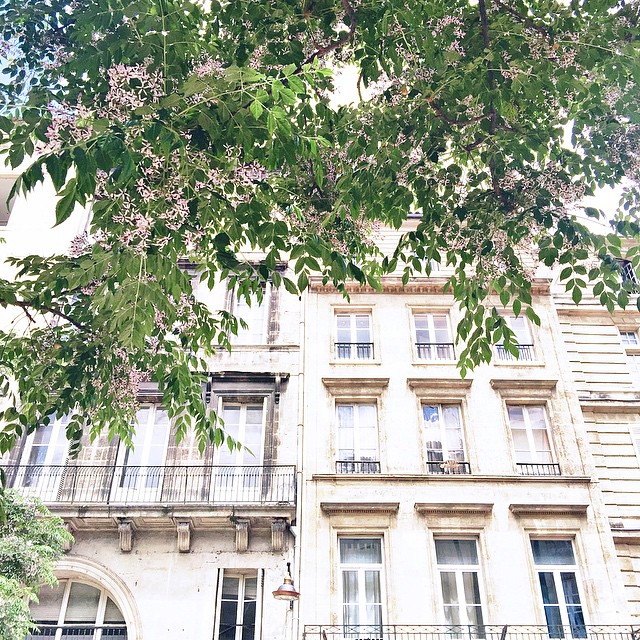 22-This Is Glamorous-Bordeaux-May:June 2015