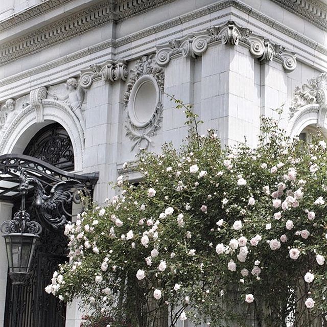 25-Maximalism No. 05-ryankorban4