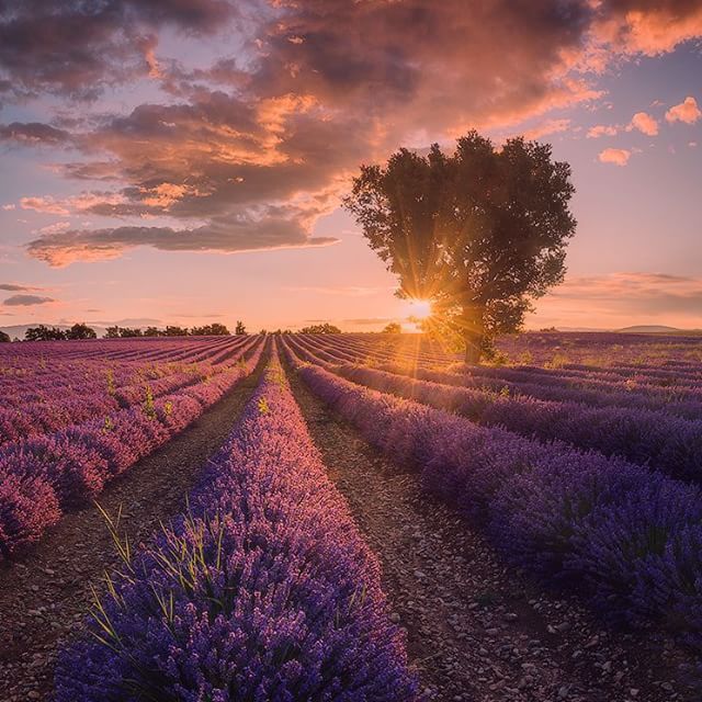26-30 Images | 23.07.15-danielkordan