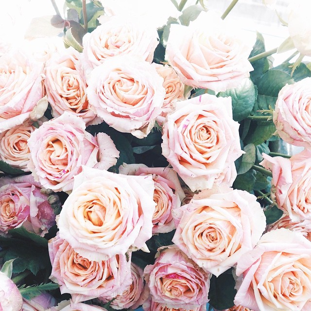02-30 Images | 27.08.15-@sugarandbloom7-This Is Glamorous