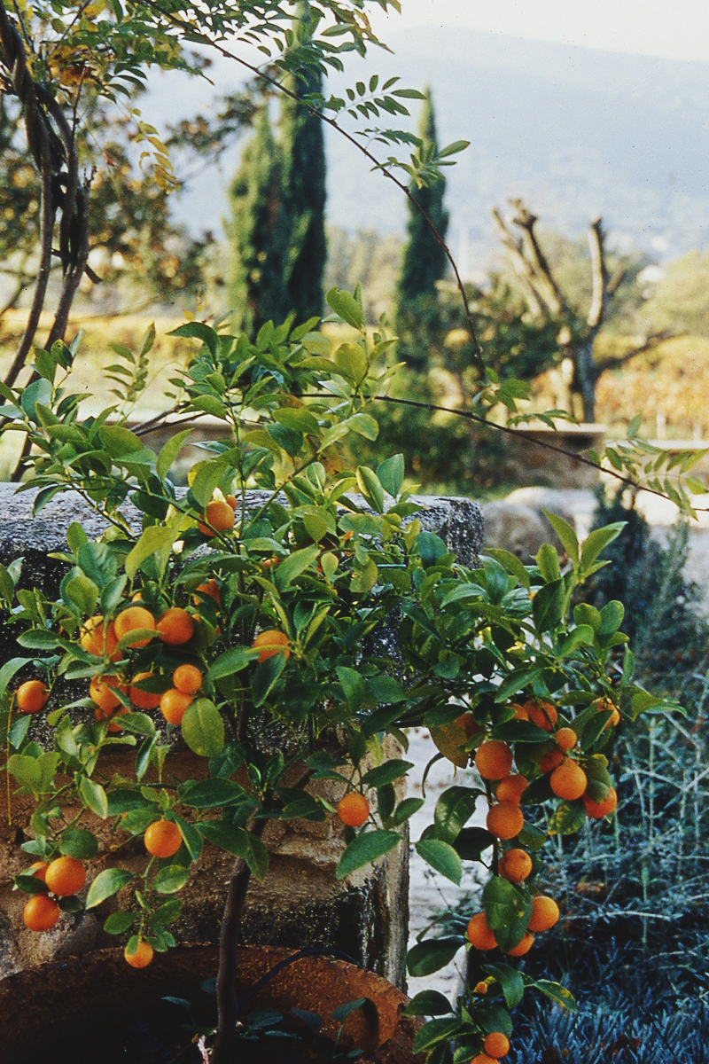 08-Places | La Bastide de Marie, France