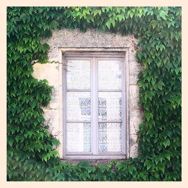12--@julia_chance--30 Images | 06.08.15