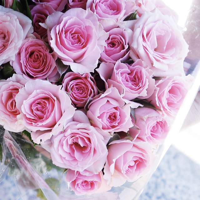 15-30 Images | 27.08.15-@sugarandbloom8-This Is Glamorous
