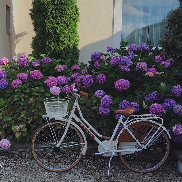 22-@myprovencestory3-30 Images | 13.08.15