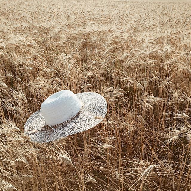 29-@myprovencestory2-30 Images | 13.08.15