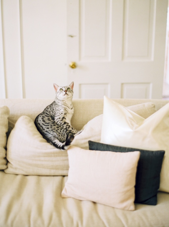 02-At Home With | Elizabeth Hunt Damrich-This Is Glamorous