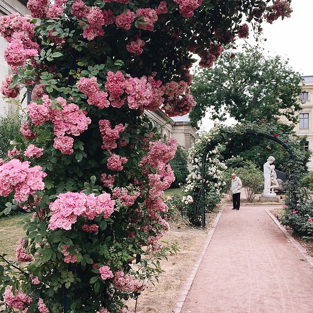 08-30 Images | 10.09.15-@alinakolot14-This Is Glamorous