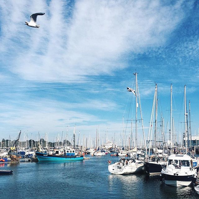 10-30 Images | 17.09.15-@elensham2-This Is Glamorous