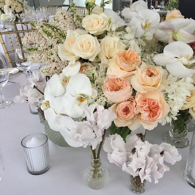 16-30 Images | 17.09.15-@mivioleta7-This Is Glamorous