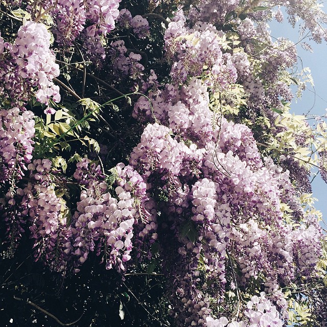 18-30 Images | 17.09.15-@alinakolot40-This Is Glamorous