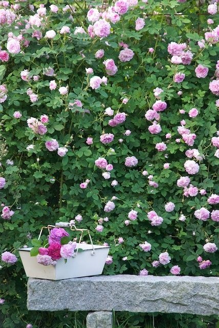 18-Late-Summer Slideshow | August 18 2015-This Is Glamorous