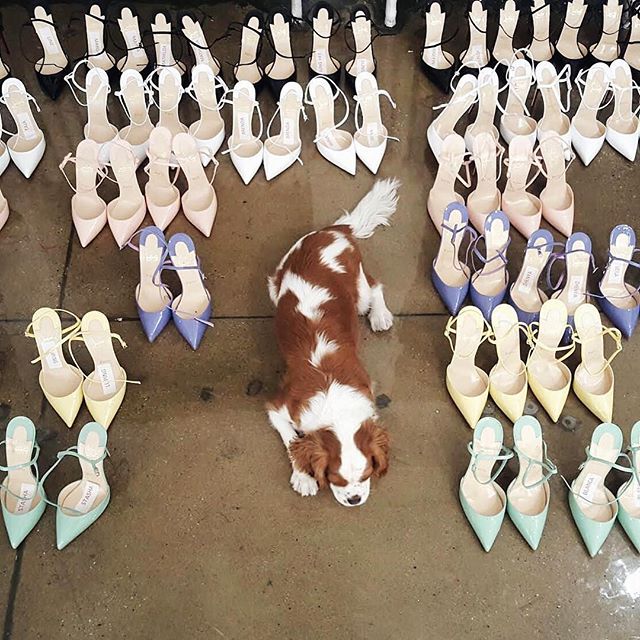 26-@smithhotels2-Fashion Month September 2015-This Is Glamorous