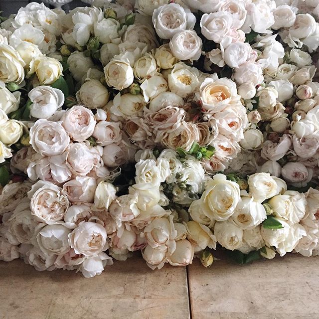 06--30 Images | 15.10.15-@tingefloral-This Is Glamorous