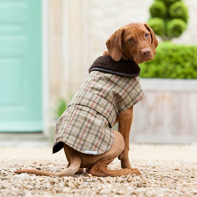 10--30 Images | 15.10.15-@townandcountryuk-This Is Glamorous