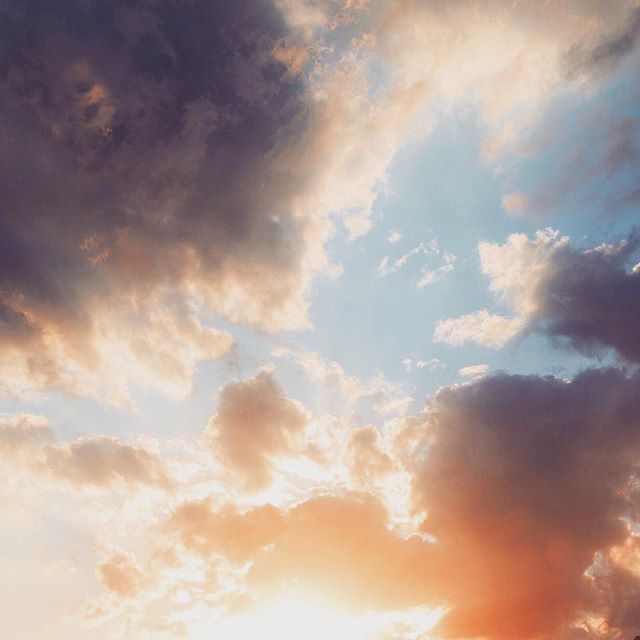 11-10 Images with Taylah Nilsson-This Is Glamorous