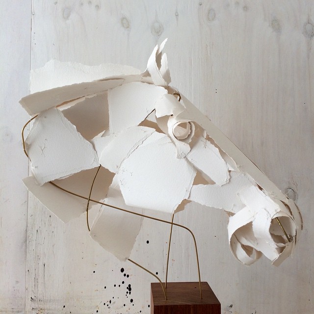 annawilihighfield3