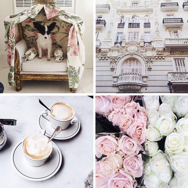 Notes from the Weekend & a Few Lovely Links 01.02.16