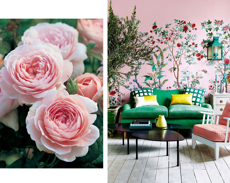 Colour Inspiration: Pink & Green