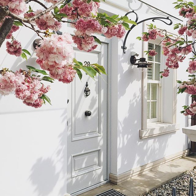 Five Things to Look Forward to this Weekend 13.05.16