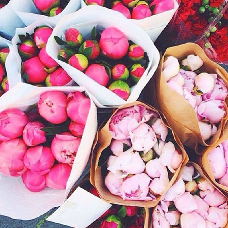 Design Inspiration: Peonies and Flower Markets