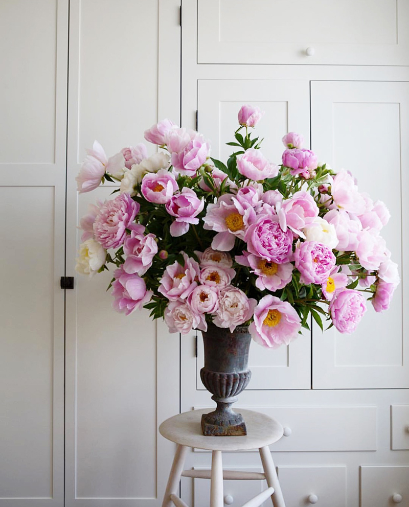 Five Things We Loved this Week | Vol. 01 No. 03