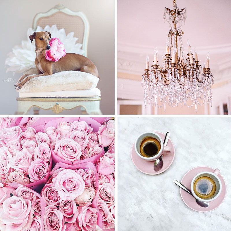 Notes from the Weekend & a Few Lovely Links 19.07.16