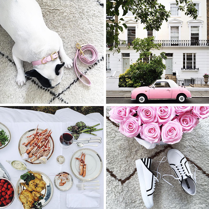 Notes from the Weekend & a Few Lovely Links 01.08.16