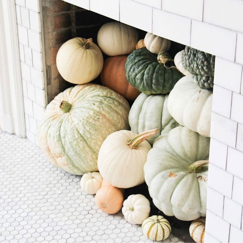 Five Things to Look Forward to this Weekend 22.10.16