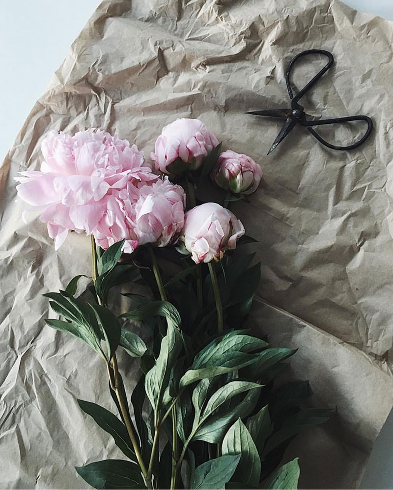 This Week: 10 Things We Love Lately 06.02.17