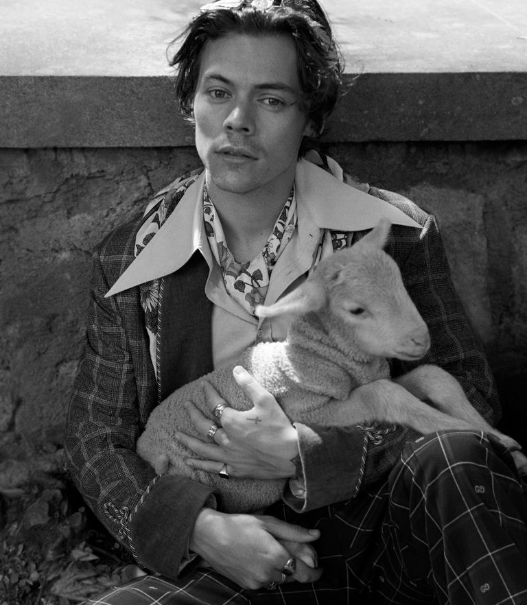 Ad Campaign: Harry Styles by Glen Luchford for Gucci