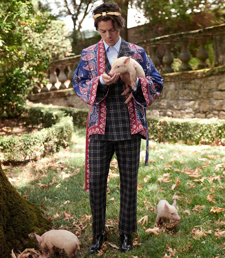 Ad Campaign: Harry Styles by Glen Luchford for Gucci