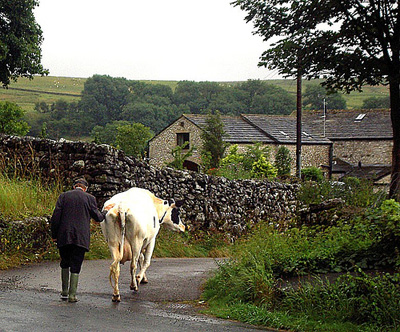 {the english countryside}