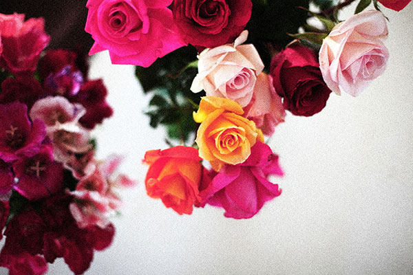 City Guide № 10 : Cape Town, South Africa